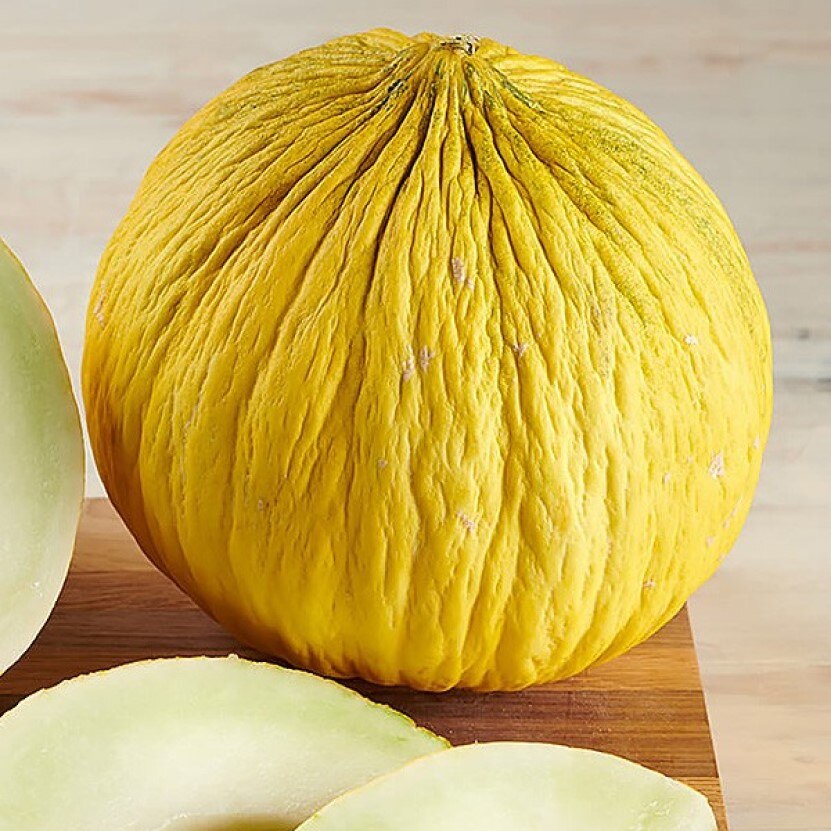 

Дыня инжирная семена 10 шт.