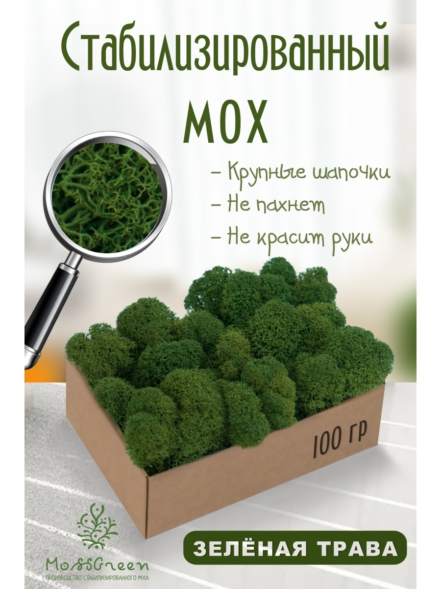 

Мох стабилизированный 100 гр/мох ягеля MossGreen цвет 7 зеленая трава