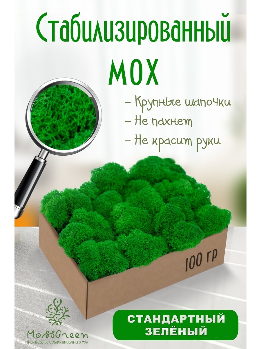 

Мох стабилизированный 100 гр/мох ягеля MossGreen цвет 9 зеленый стандарт
