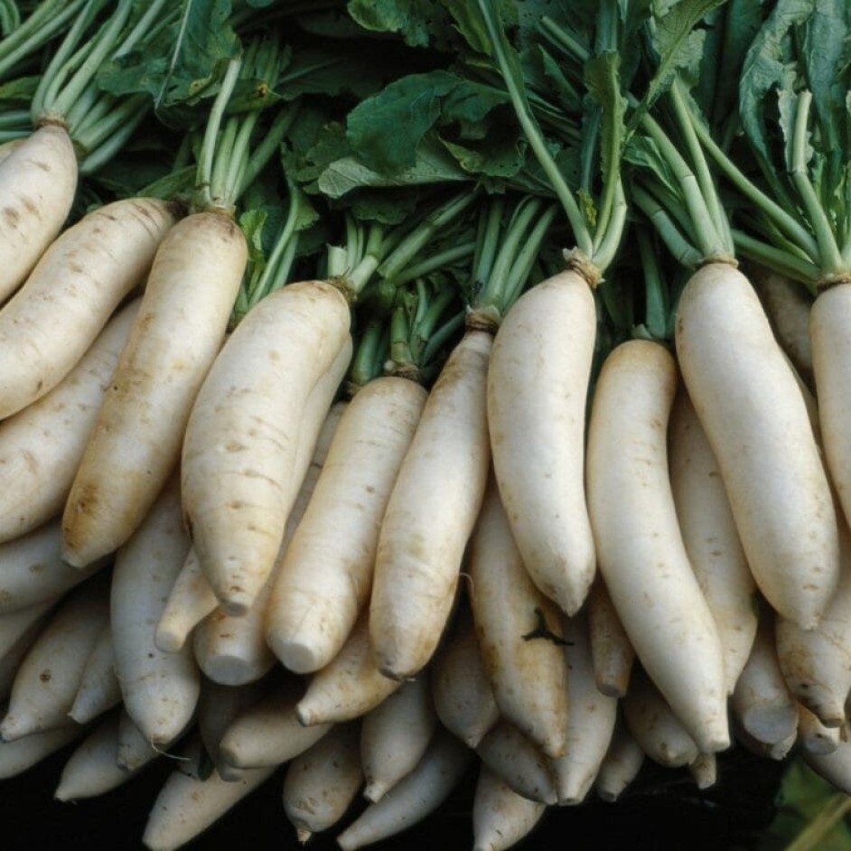 

Семена Дайкон Миноваси 50 ШТ