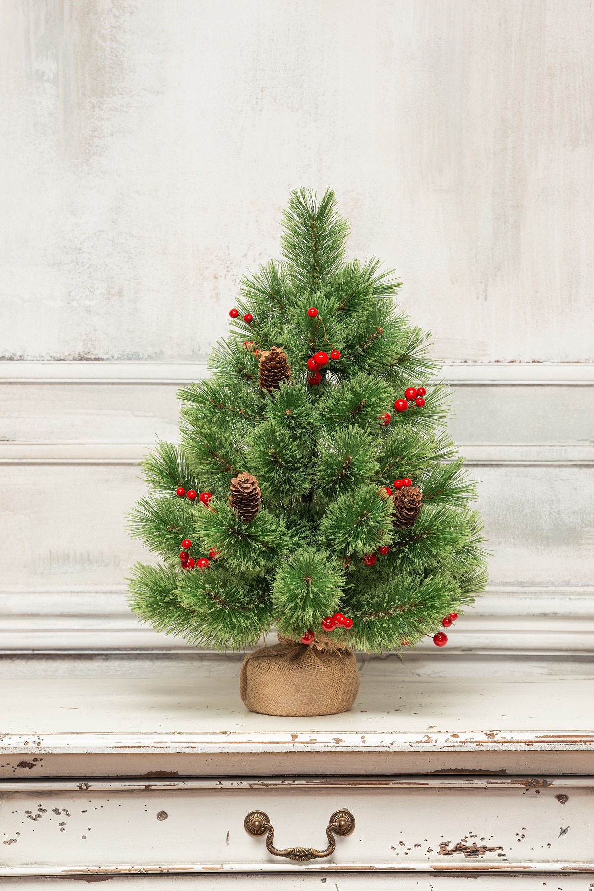 

Сосна Роскошная, Леска, ЕлкиТорг 45/60/90 см.