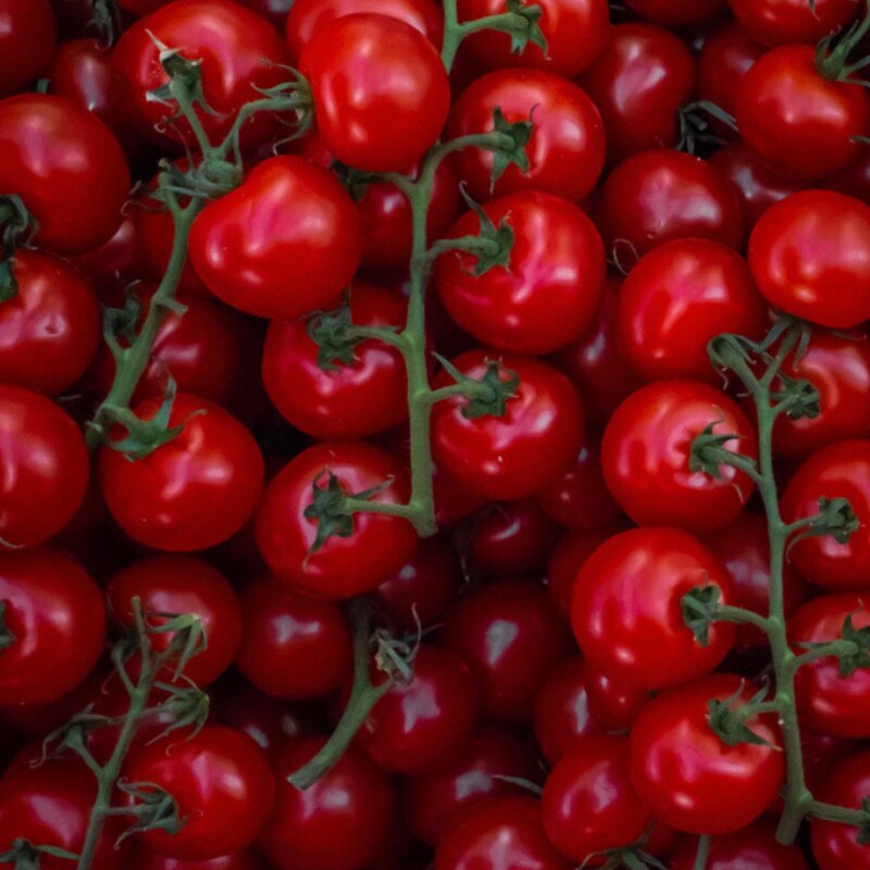 

Семена Томат Сладкое Дерево 0,1 гр. Семена Алтая