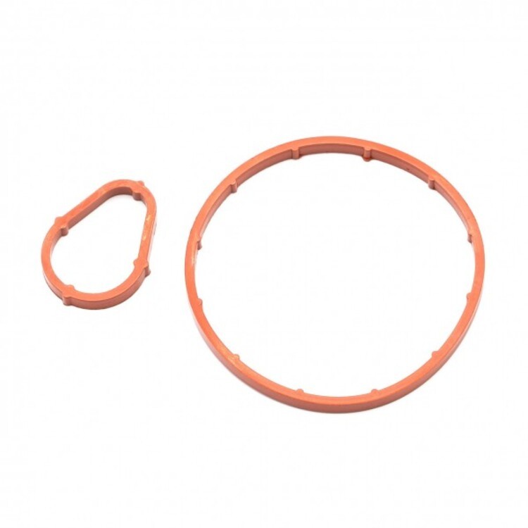 

Комплект прокладок для вакуумного насоса Ford и Citroen/Peugeot 1.4HDI