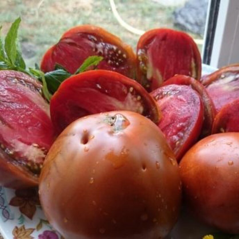 

Томат Гном Мулат семена 10 шт.