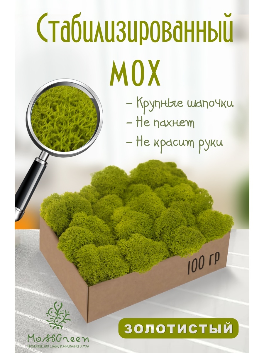 

Мох стабилизированный 100 гр/мох ягеля MossGreen цвет 2 золотистый