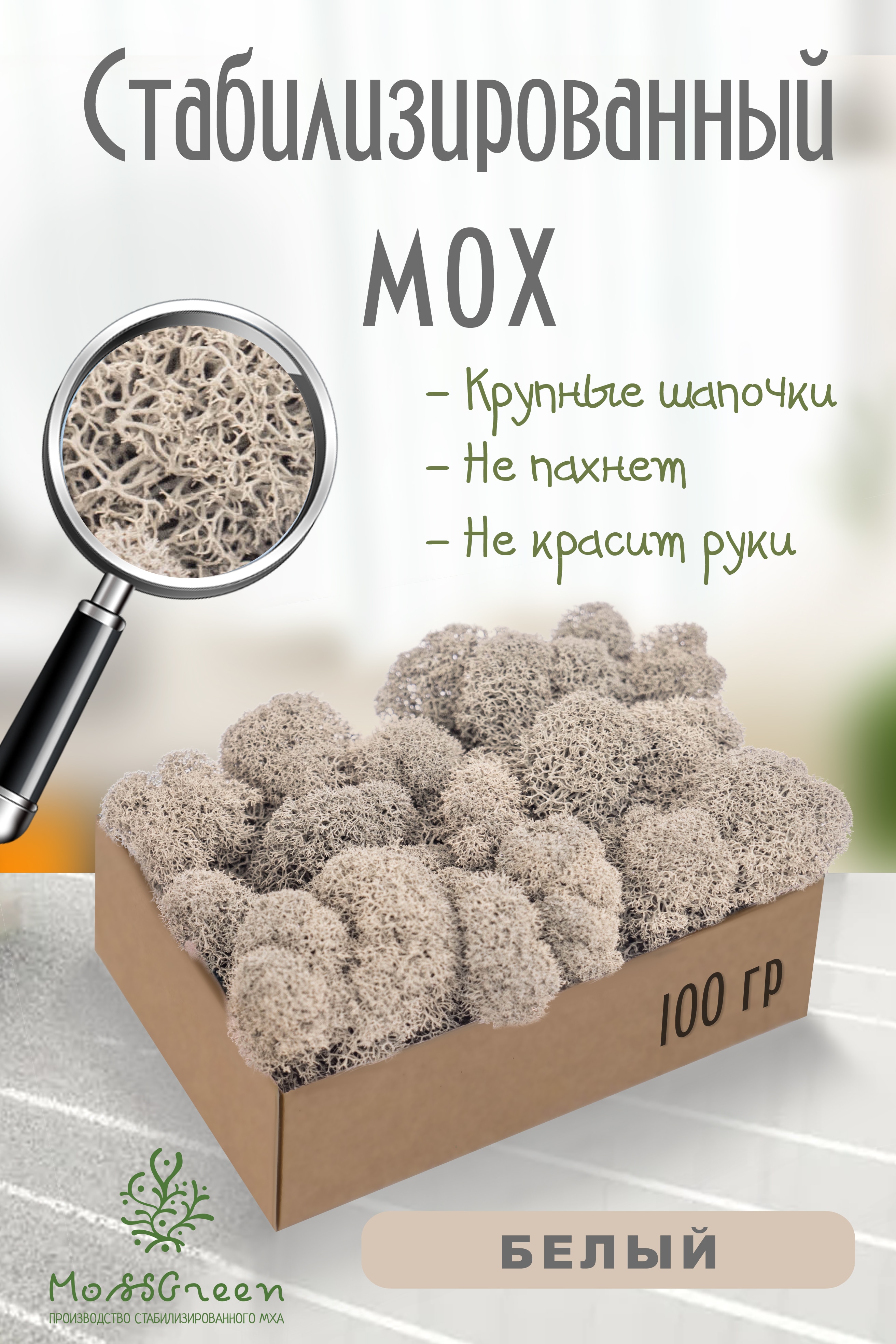 

Мох стабилизированный 100 гр/мох ягеля MossGreen цвет 24 Белый
