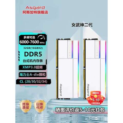 メモリー Asgard Valkyrie II DDR5 6000MHz CL28 32g Asgard Valkyrie