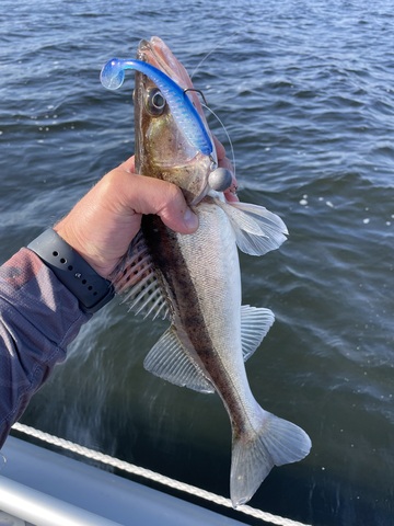 Двойник удлиненный Barbarian "Fishing Gear"