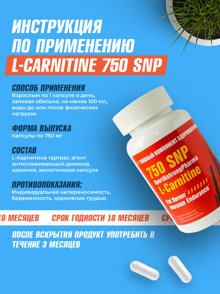 propionyl-l-carnitine acetyl-l-carnitine combination for stamina Glycine Propionyl L Carnitine and Erectile Dysfunction: Exploring the  Connection