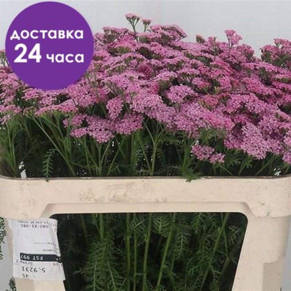 Усть-Илимскідегі ВКонтактедегі секс