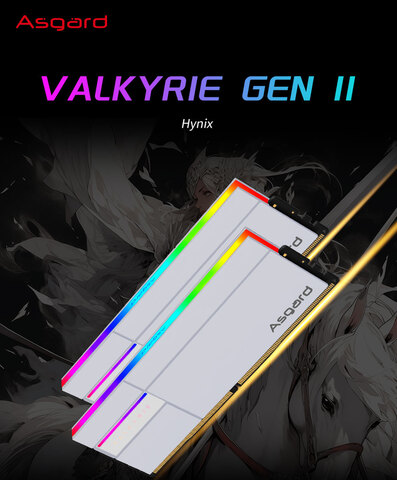 メモリー Asgard Valkyrie II DDR5 7200MHz 48GB メモリー Asgard Valkyrie II DDR5 7200MHz 48GB Asgard Valkyrie II