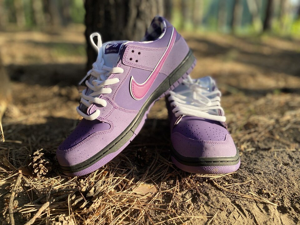 where to buy nike sb purple lobster